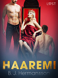 Omslagsbild för Haaremi - eroottinen novelli