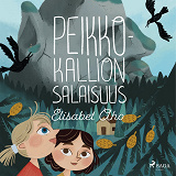 Cover for Peikkokallion salaisuus
