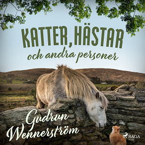 Cover for Katter, hästar och andra personer