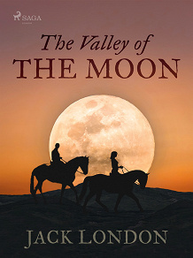 Omslagsbild för The Valley of the Moon