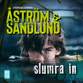 Cover for Slumra in