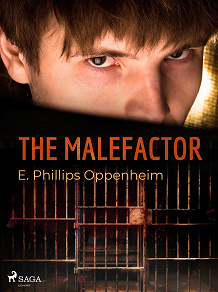 Omslagsbild för The Malefactor