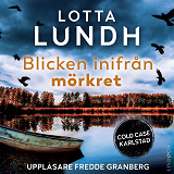 Omslagsbild för Blicken inifrån mörkret