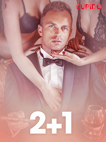 Omslagsbild för 2+1 – eroottinen novelli