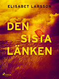 Cover for Den sista länken