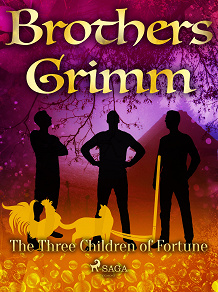 Omslagsbild för The Three Children of Fortune