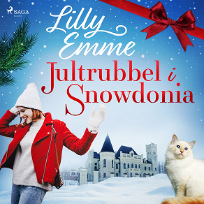 Cover for Jultrubbel i Snowdonia