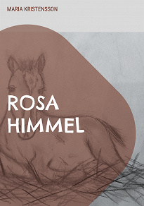 Omslagsbild för Rosa Himmel: En berättelse om en pojkes hjälteinsats