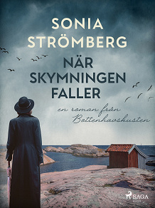 Omslagsbild för När skymningen faller