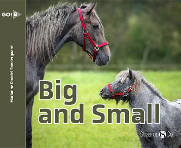 Cover for Big And Small