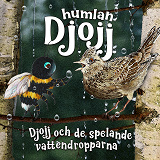 Cover for Djojj och de spelande vattendropparna