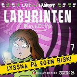 Omslagsbild för Labyrinten