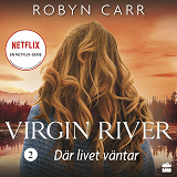 Cover for Där livet väntar