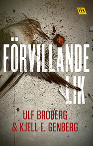 Cover for Förvillande lik