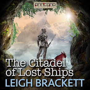 Cover for The Citadel of Lost Ships