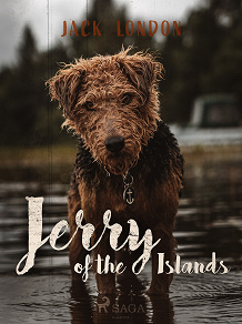 Omslagsbild för Jerry of the Islands