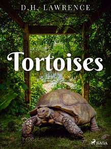 Omslagsbild för Tortoises