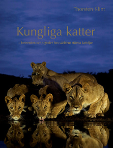 Cover for Kungliga katter : Beteenden och signaler hos världens största kattdjur