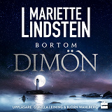 Cover for Bortom Dimön