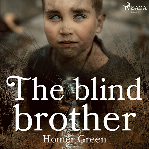 Cover for The Blind Brother