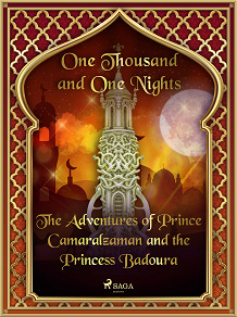 Cover for The Adventures of Prince Camaralzaman and the Princess Badoura