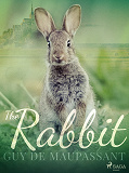 Cover for The Rabbit