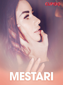 Omslagsbild för Mestari - eroottinen novelli