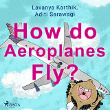 Omslagsbild för How do Aeroplanes Fly?