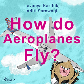 Cover for How do Aeroplanes Fly?