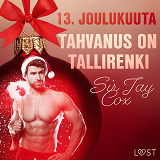 Omslagsbild för 13. joulukuuta: Tahvanus on tallirenki – eroottinen joulukalenteri