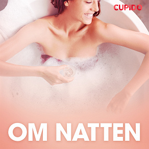 Cover for Om natten - erotisk novell
