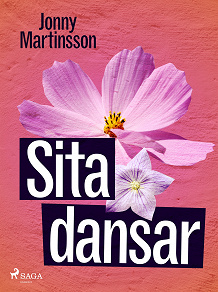 Cover for Sita dansar