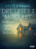 Omslagsbild för Det lyser i mörkret: midvintersagor från Bohuslän