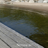 Cover for Stressa av