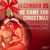 Cover for December 25: He Came for Christmas - An Erotic Christmas Calendar