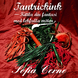 Cover for Tantrickink - Kittla din fantasi med lekfulla möten
