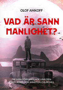 Omslagsbild för Vad är sann manlighet?: Mansseminarium om biblisk manlighet.