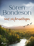 Omslagsbild för Sent på förmiddagen