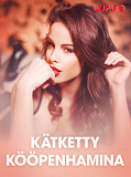 Cover for Kätketty Kööpenhamina – eroottinen novelli