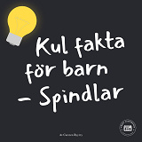 Omslagsbild för Kul fakta för barn: Spindlar