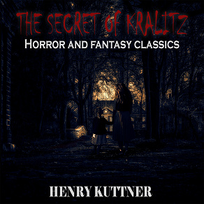 Omslagsbild för The secret of Kralitz
