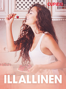 Cover for Illallinen – eroottinen novelli