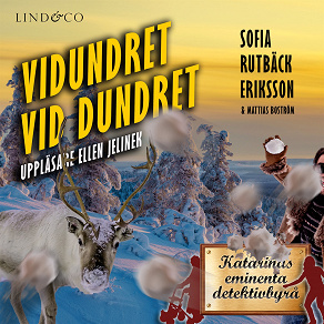 Cover for Vidundret vid Dundret