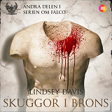 Cover for Skuggor i brons