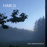 Cover for Haik:u ...fast inte