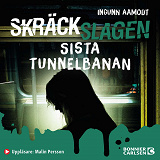 Omslagsbild för Sista tunnelbanan