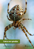 Cover for Fakta om spindlar