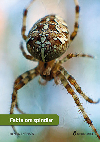Omslagsbild för Fakta om spindlar