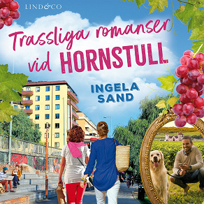 Omslagsbild för Trassliga romanser vid Hornstull 