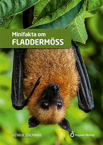 Cover for Minifakta om fladdermöss